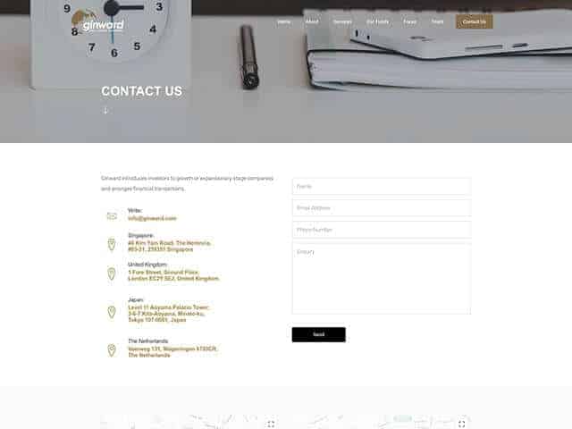 ginward portfolio solution 2