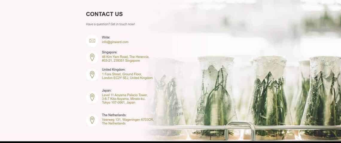 ginward portfolio solution 3