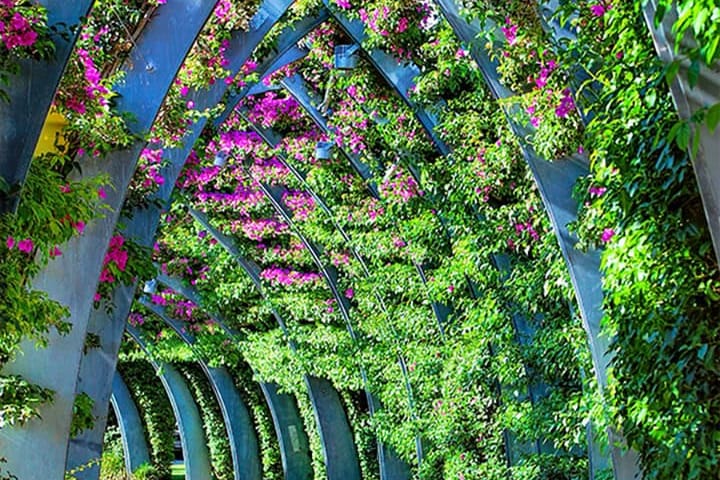 Arched garden walkway lush with pink flowers