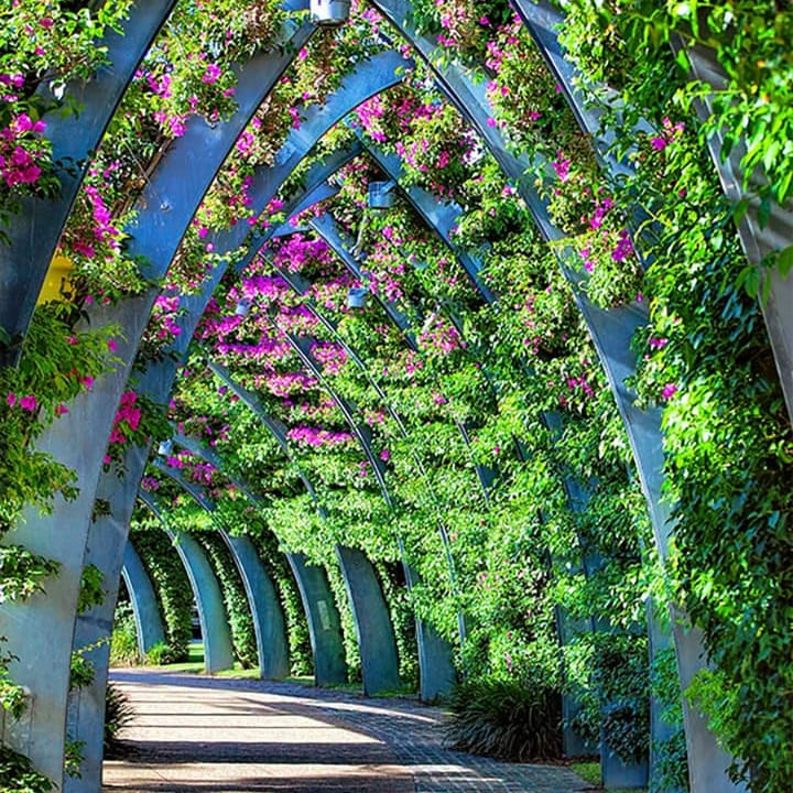 Arched garden walkway lush with pink flowers