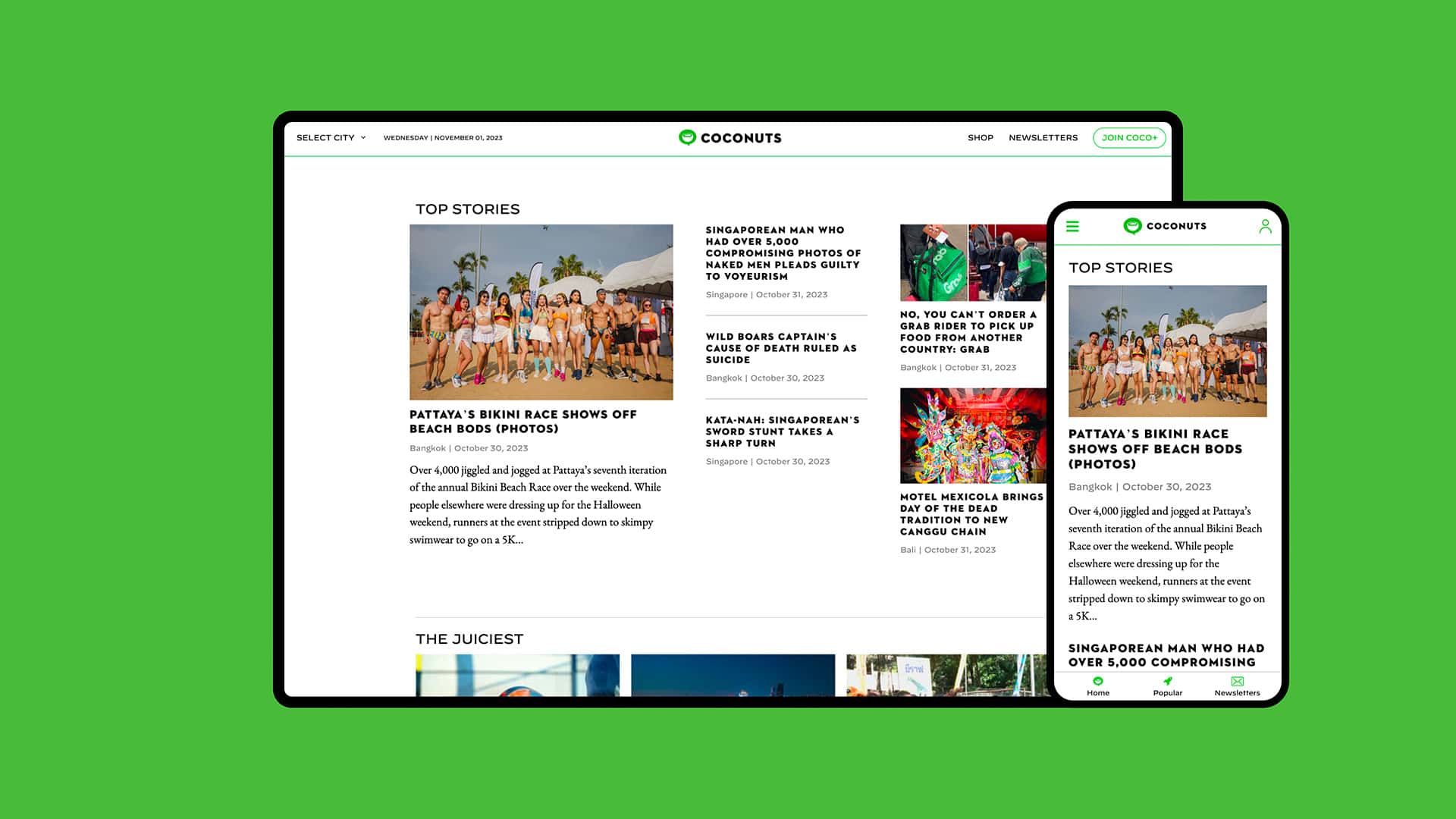 portfolio coconuts design 4