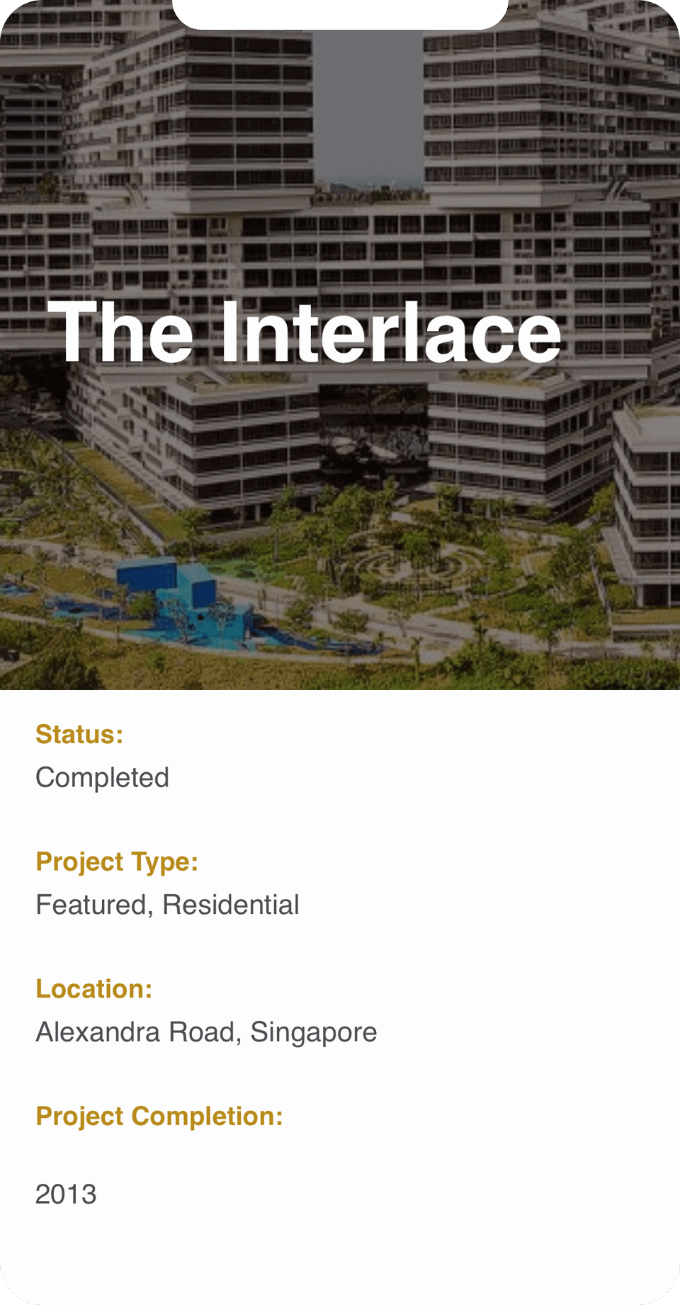 portfolio wohhup phone interlace t