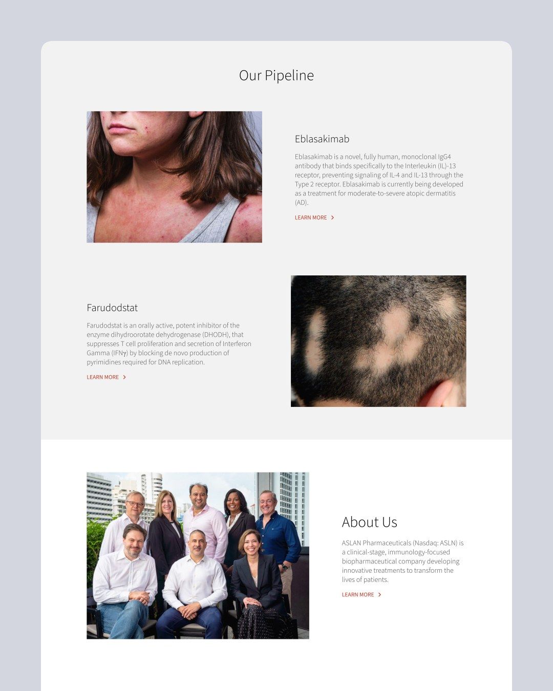 Spurwing Communications website