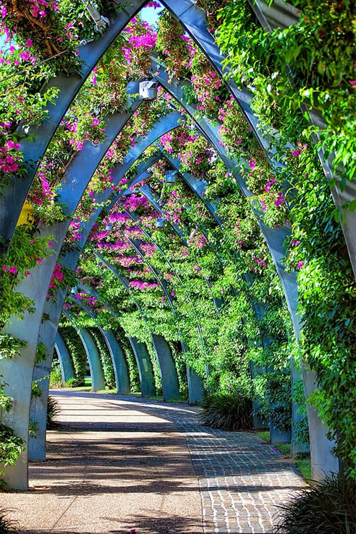Arched garden walkway lush with pink flowers