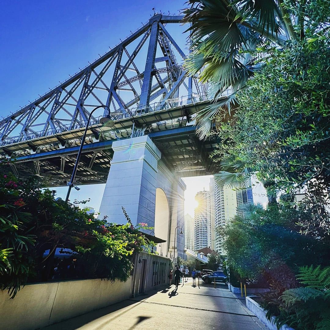 Brisbane Story Bridge framed by lush greenery and sunlight