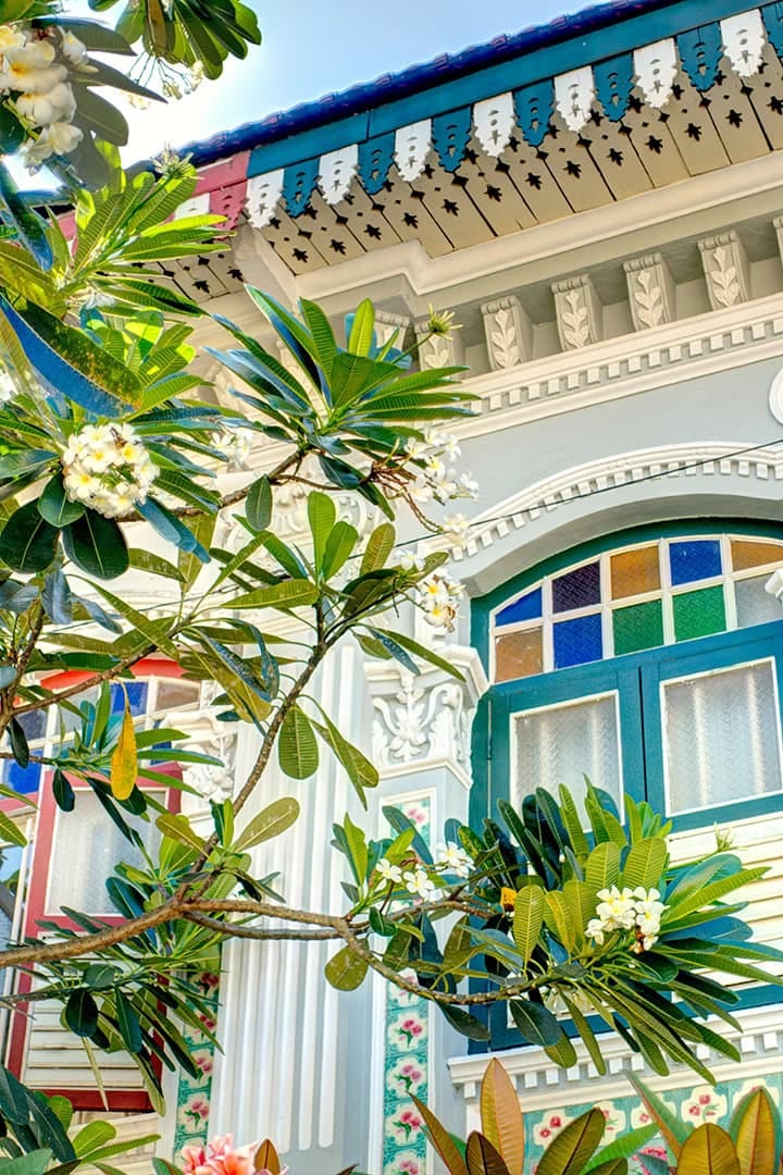 Colourful heritage building facade with blooming frangipani