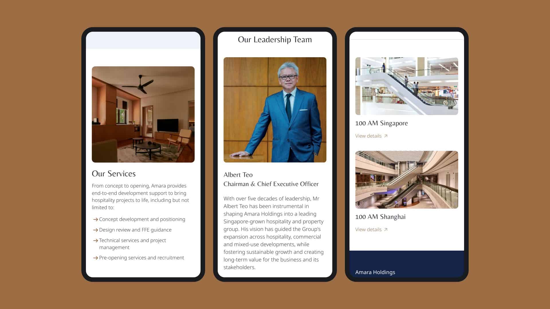 Amara Holdings website