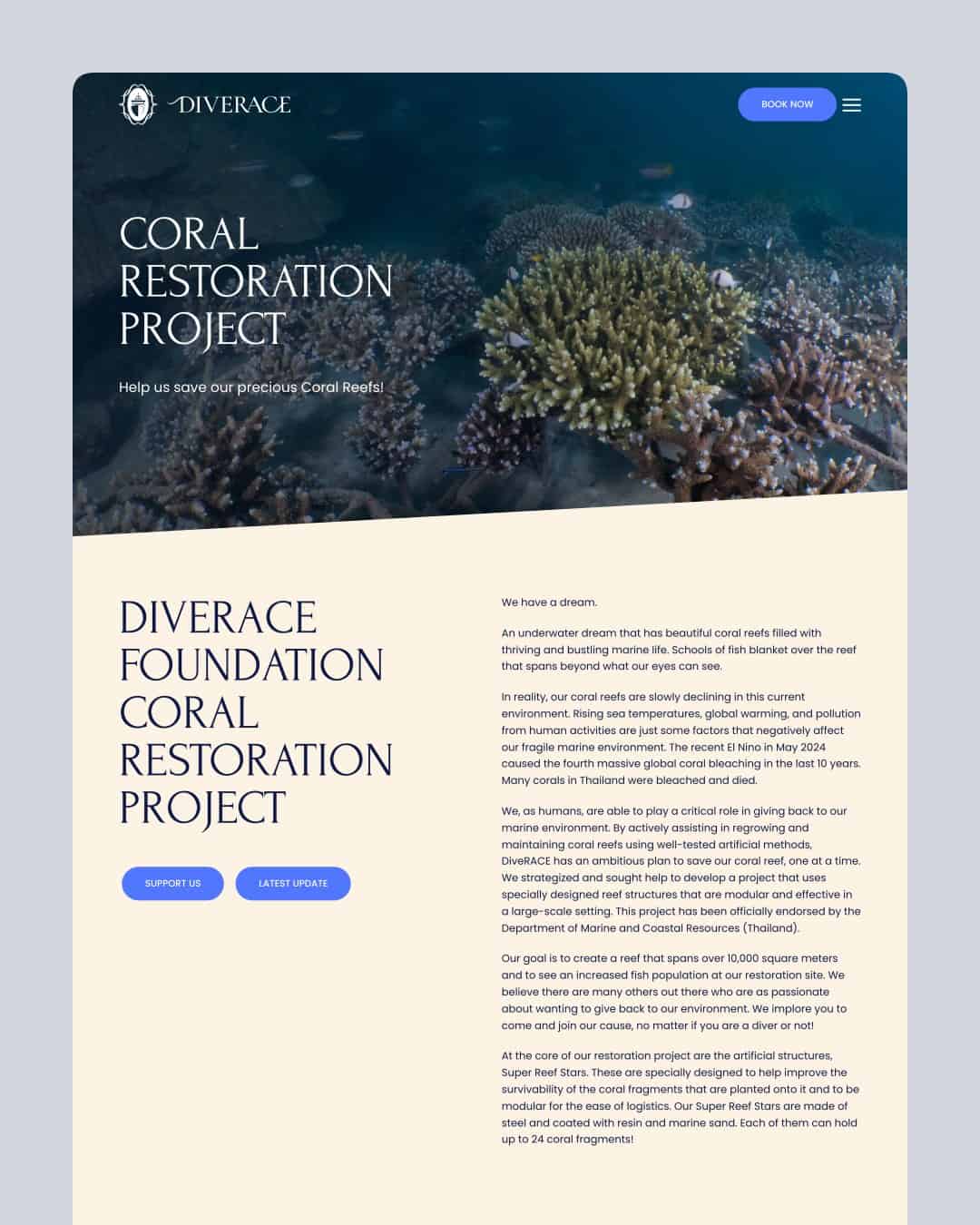 DiveRACE website