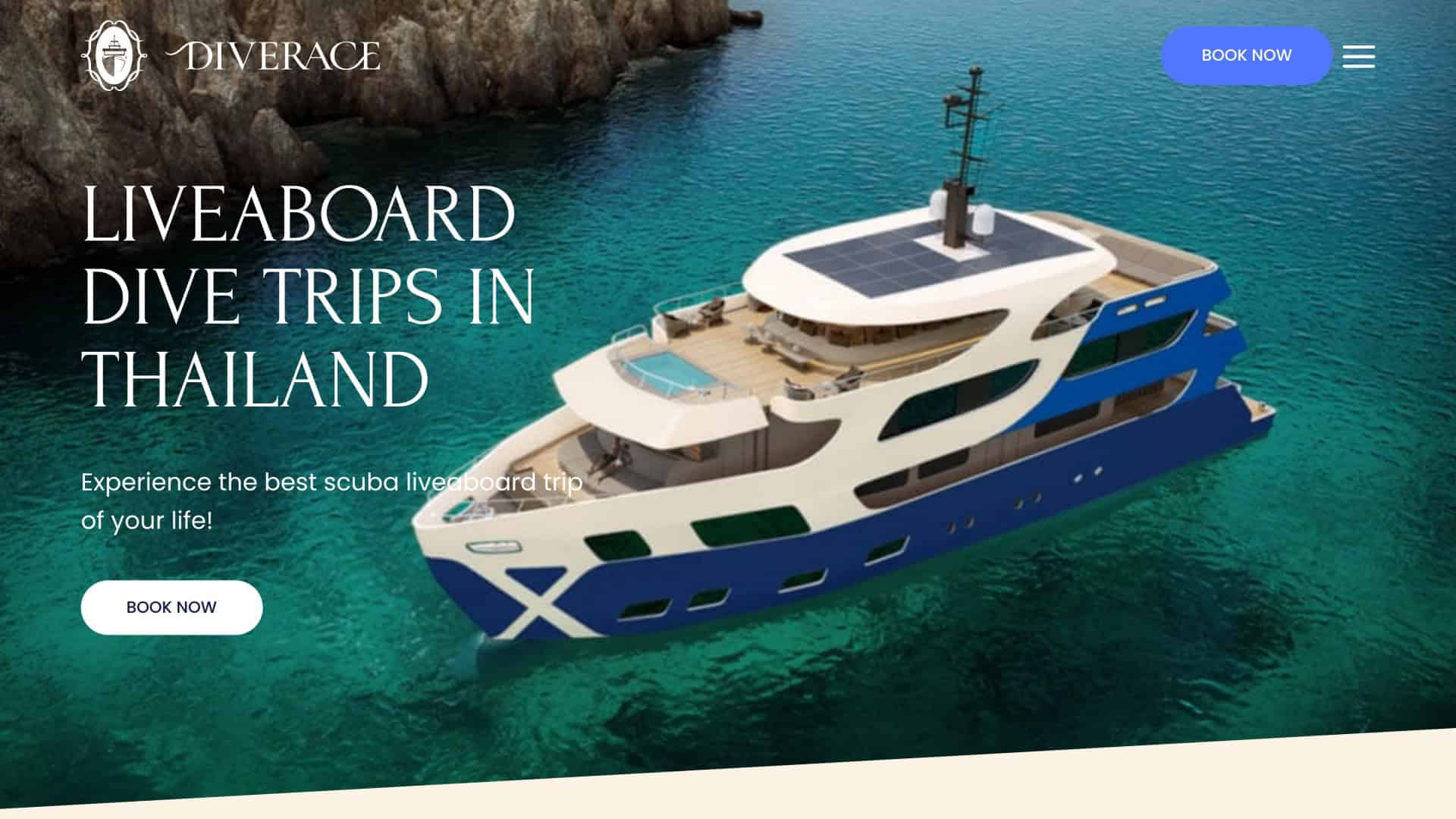 DiveRACE website