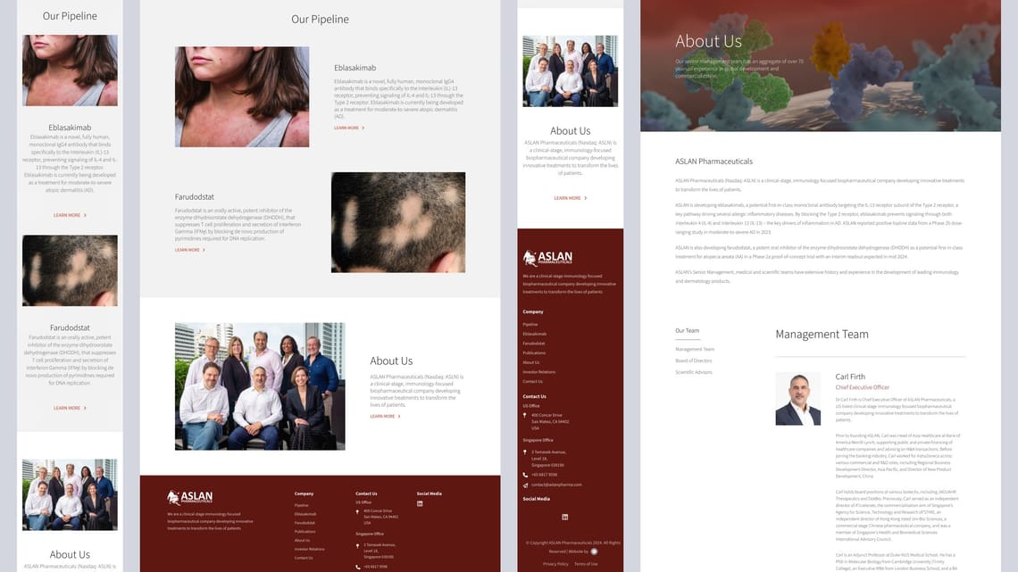 Spurwing Communications website