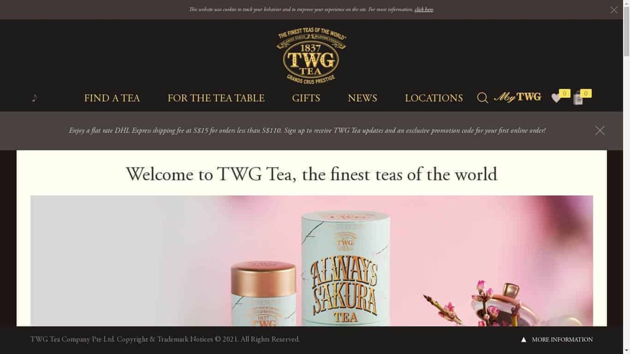 homepages that engage their visitors twgtea