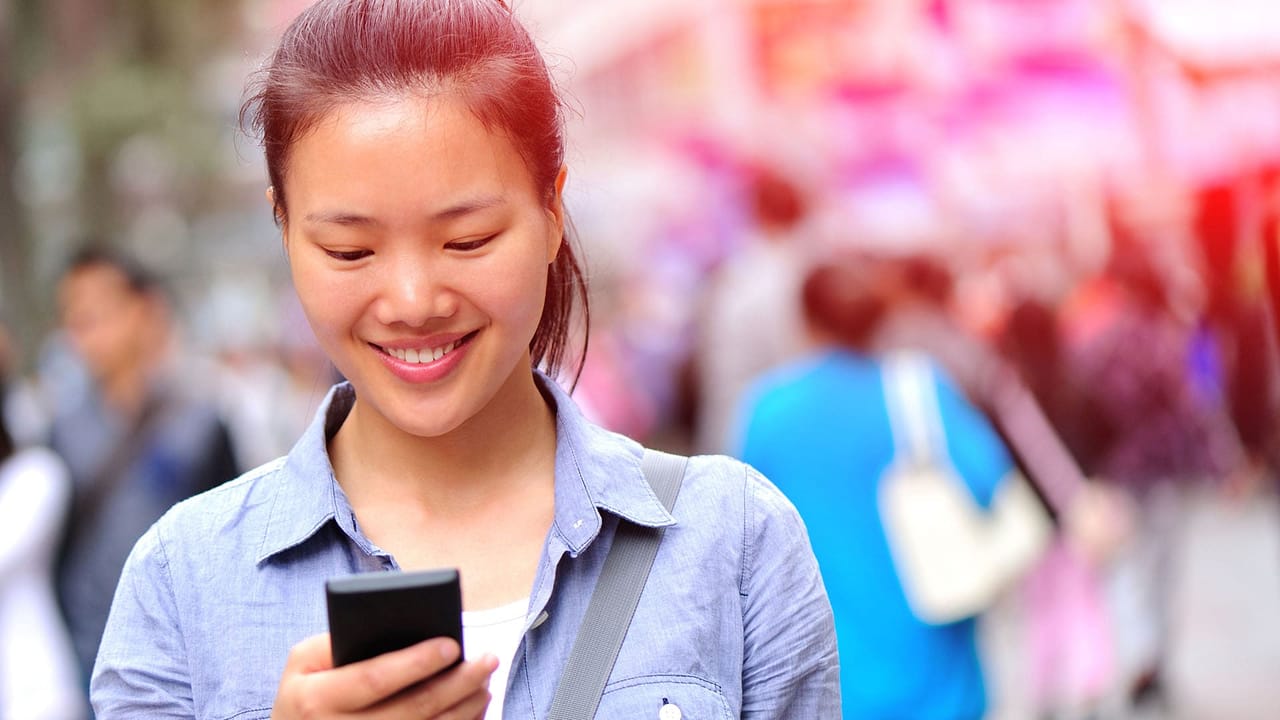 what are my wordpress hosting options