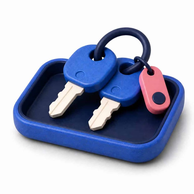 Two blue keys with pink fob in tray