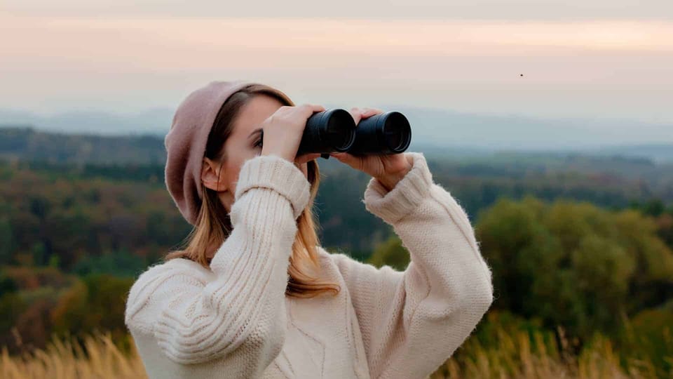 Your Seo Efforts Are Letting You Down