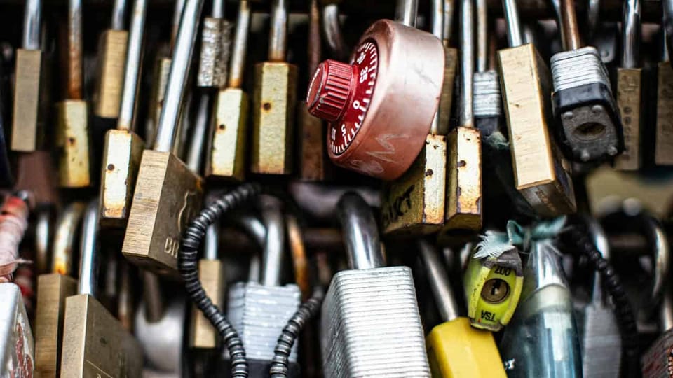 Cluster of padlocks and combination locks hanging.