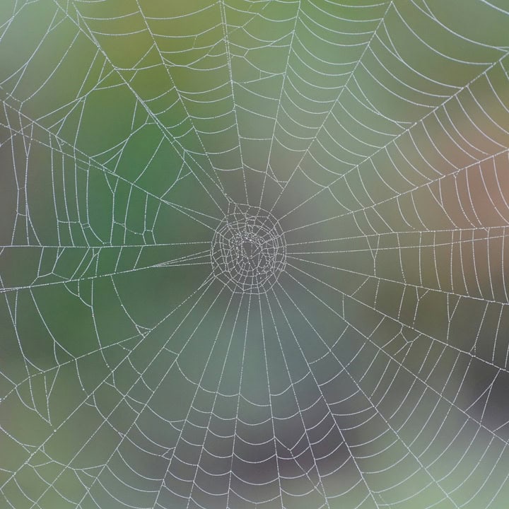 Internal linking