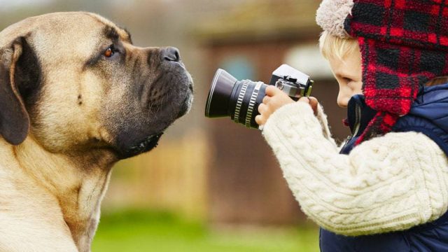 kid taking a photograph of a dog