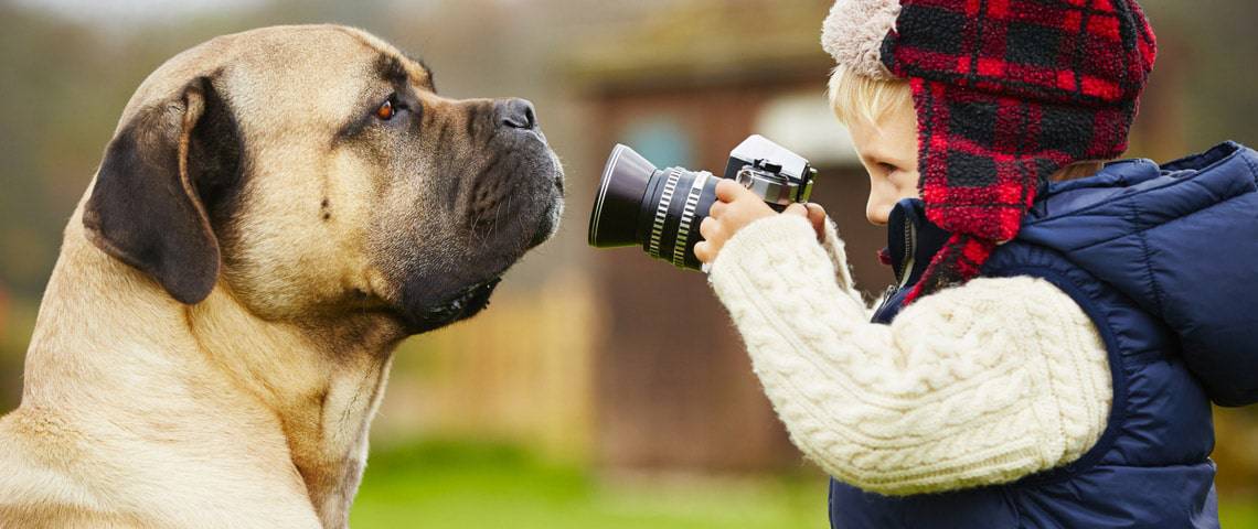 kid taking a photograph of a dog