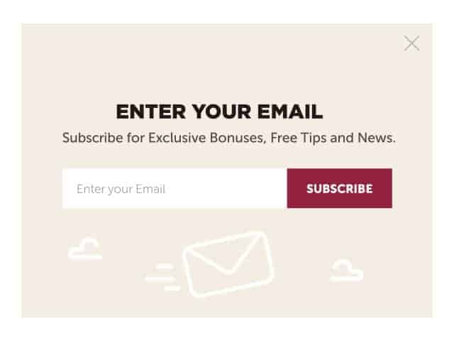 exclusive bonuses email subscription form