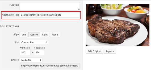 ALT text example - A large char grilled steak on a while plate