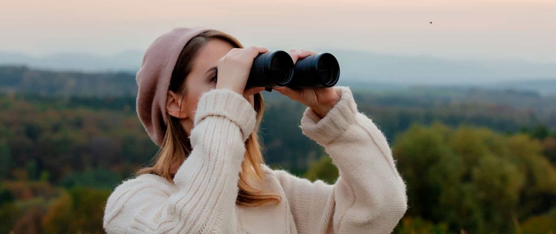 Your Seo Efforts Are Letting You Down
