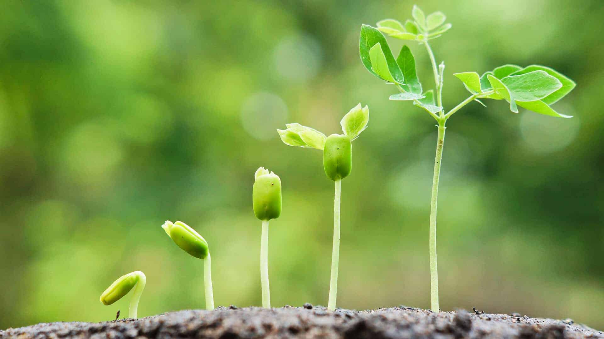 4 Ways To Thrive In The Next Economic Downturn 4 Ways To Thrive In The Next Economic Downturn