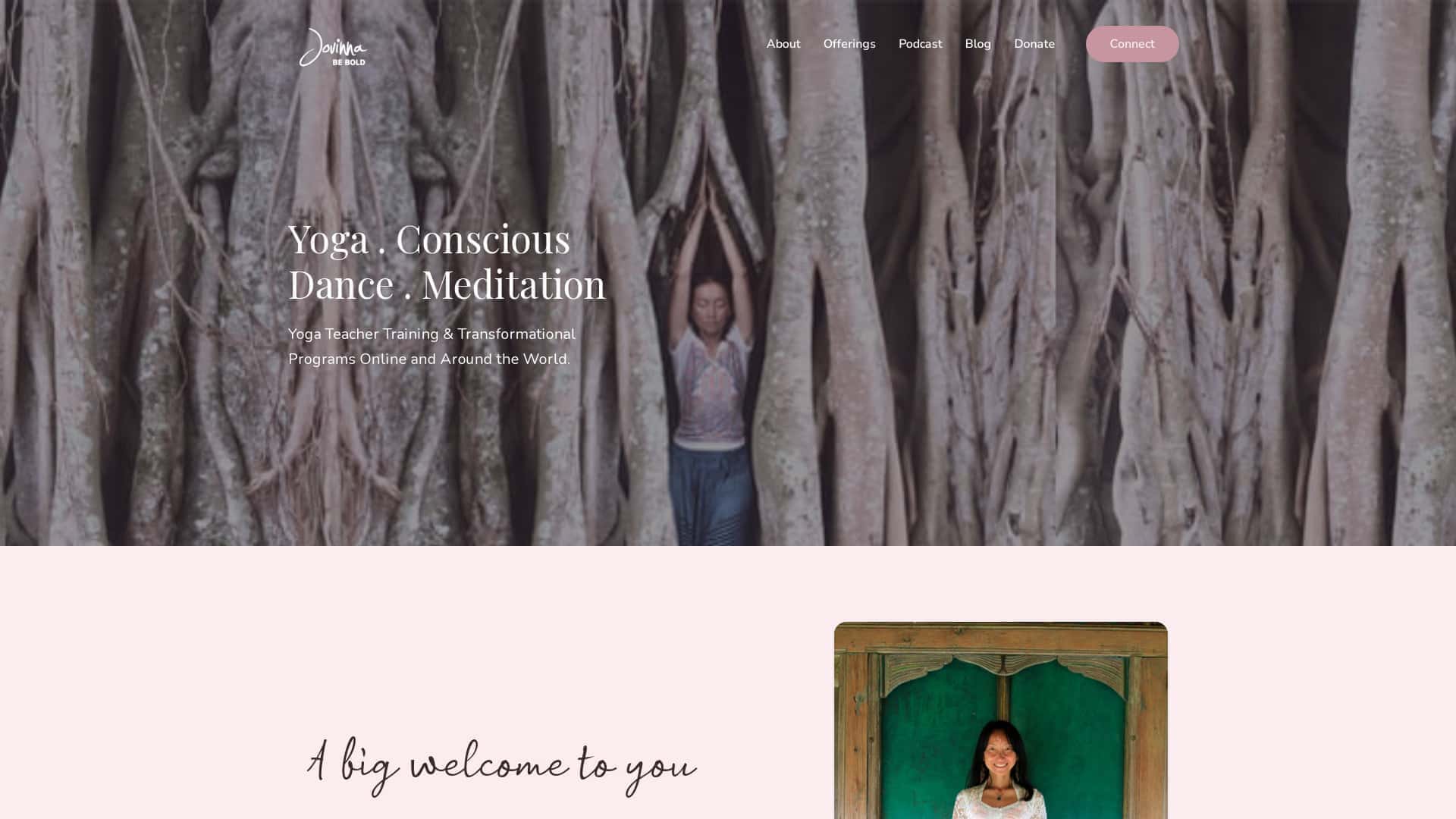 Portfolio website design for Jovinna