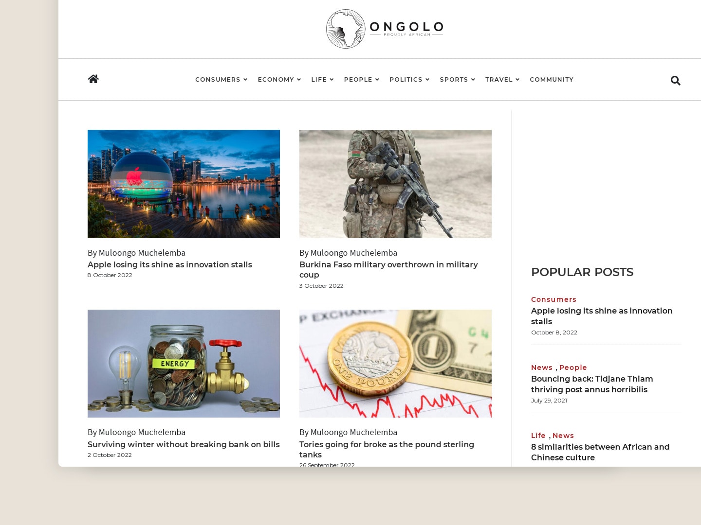 Portfolio website design for Ongolo