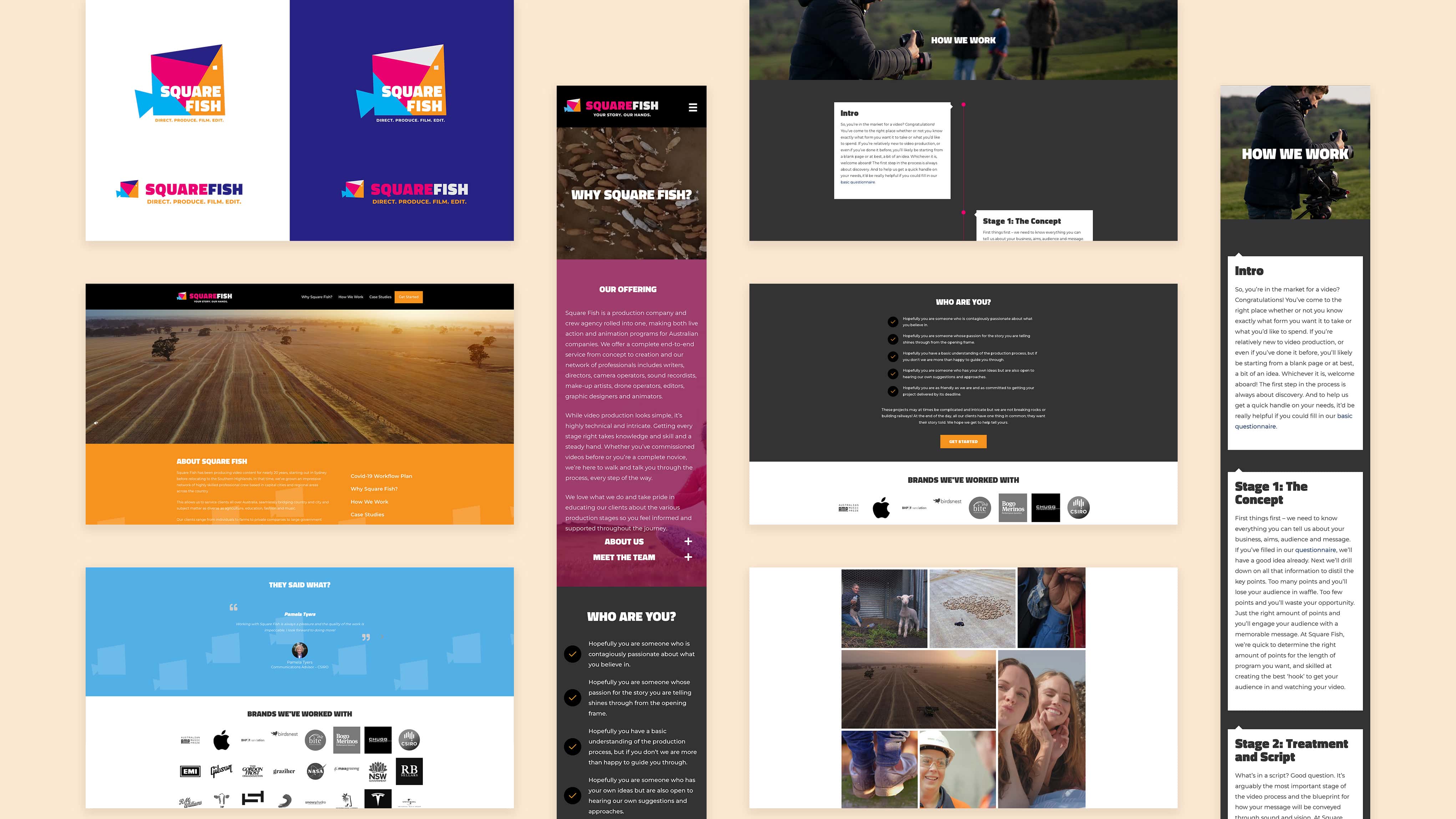 portfolio squarefish flat portfolio squarefish flat