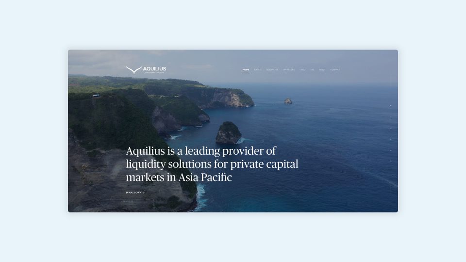 A custom designed and developed solution for Aquilius in Singapore