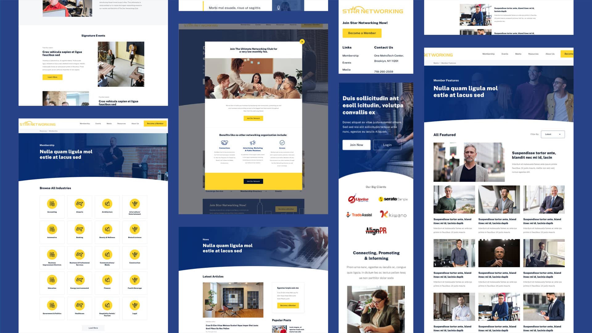 portfolio schnepsmedia starnetworking design 1 portfolio schnepsmedia starnetworking design 1