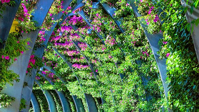 Arched garden walkway lush with pink flowers