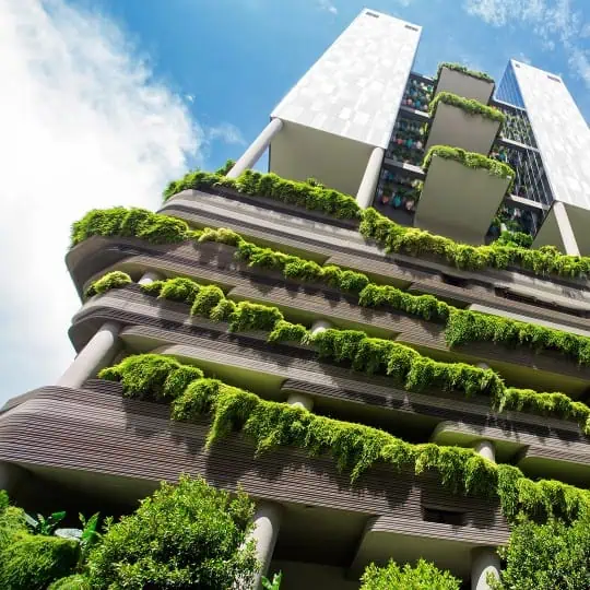 web design agency singapore green Eco-friendly building with lush green vertical gardens