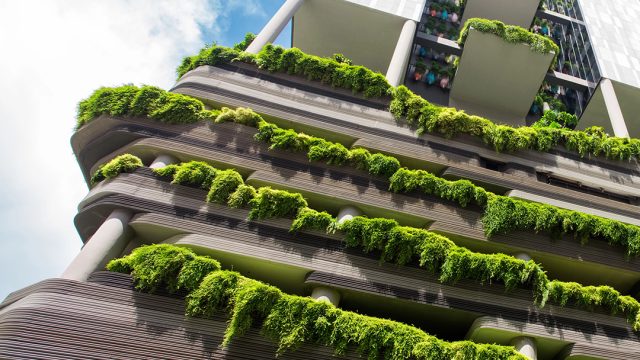 Eco-friendly building with lush green vertical gardens