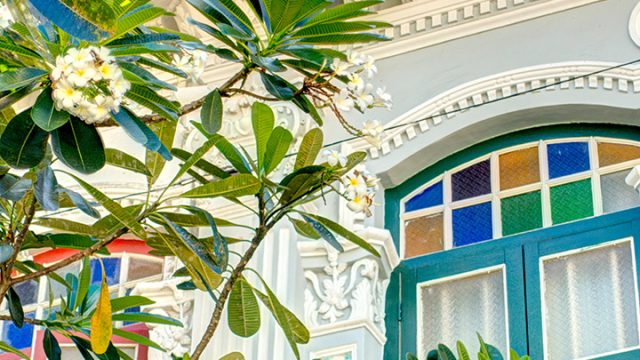Colourful heritage building facade with blooming frangipani