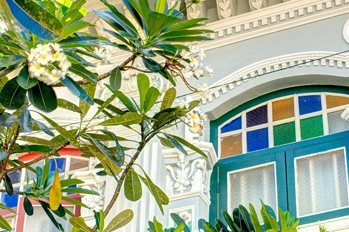 Colourful heritage building facade with blooming frangipani